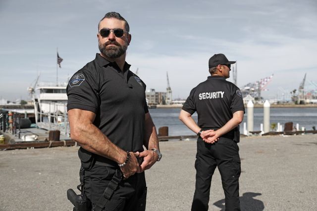 When Hiring A Security Driver Is Essential For Executive Or Vip Travel